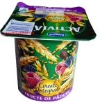 iaurt-cu-fructe-de-padure-danone-activia-grasime-2-8-125g
